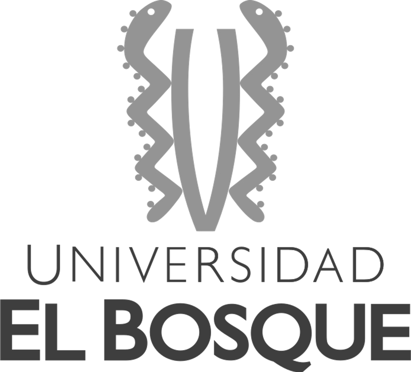 Universidad El Bosque